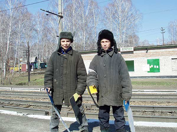 Незаконные лесорубы